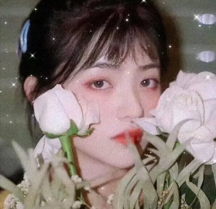 酱狗